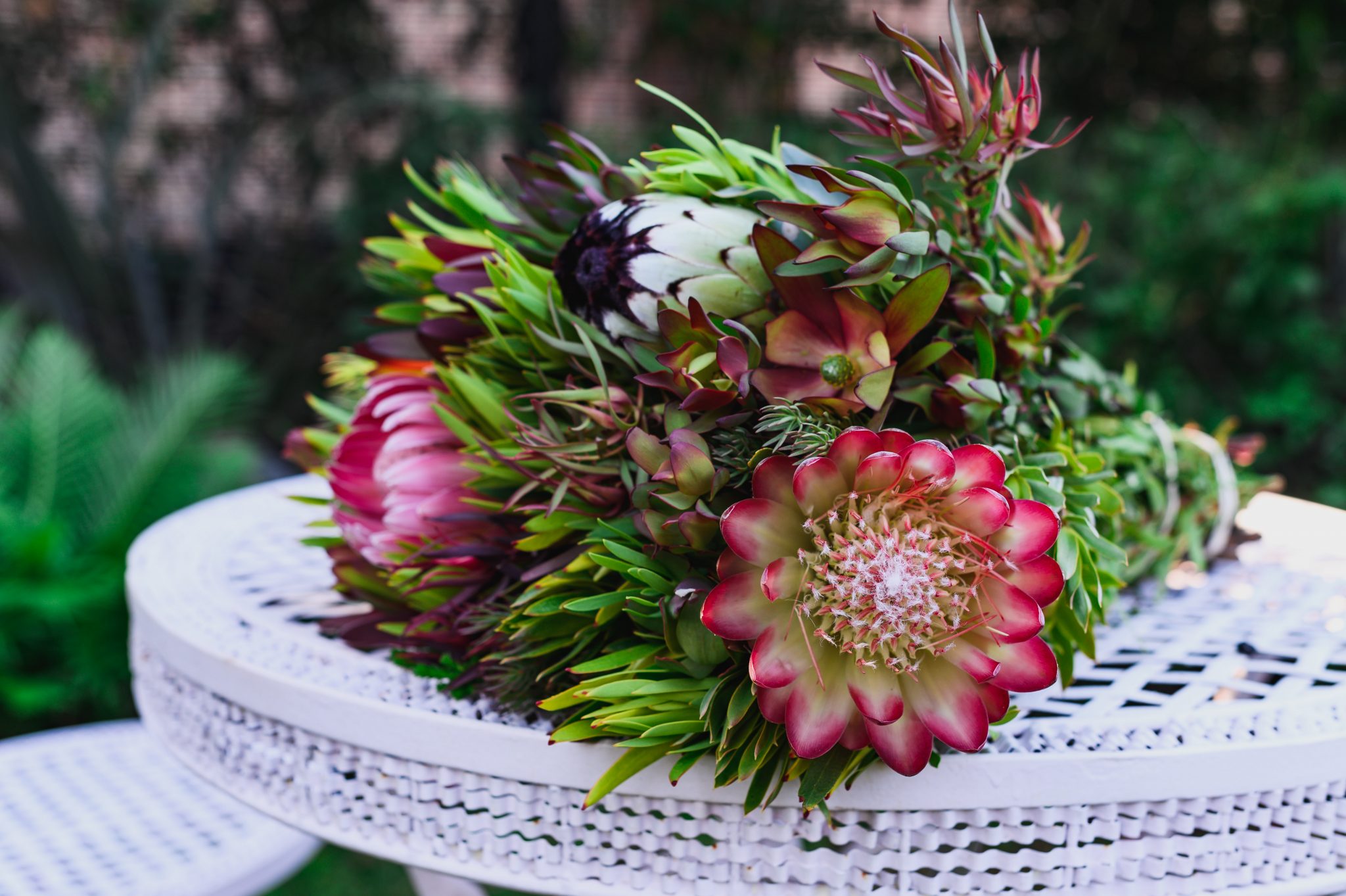 Shop Protea Bouquets Online Pretoria Protea Groves