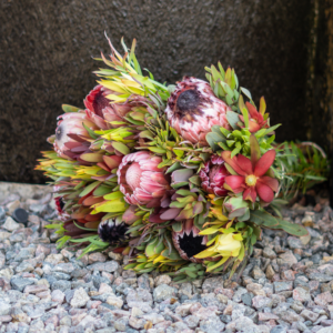 Mother's Day Large Protea and Fynbos Bouquet