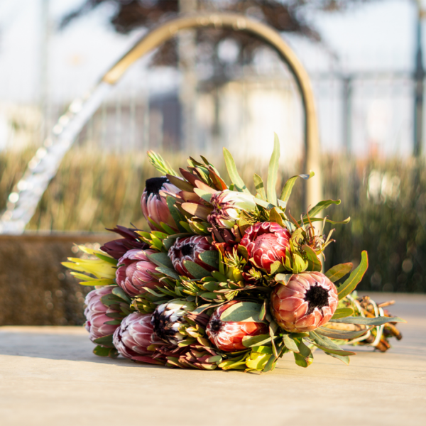 Mother's Day X-Large Protea and Fynbos Bouquet - Image 2