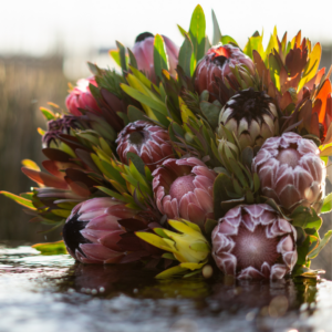 Mother's Day X-Large Protea and Fynbos Bouquet
