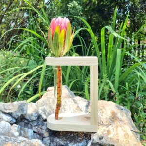 protea stand pretoria south africa