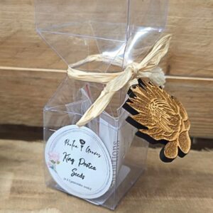 king protea seeds Christmas crackers Protea Groves Pretoria