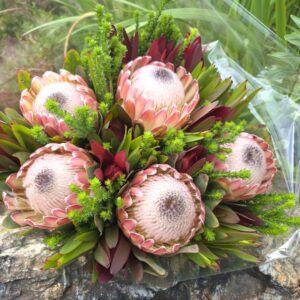 Susara Protea Bouquet (limited edition)